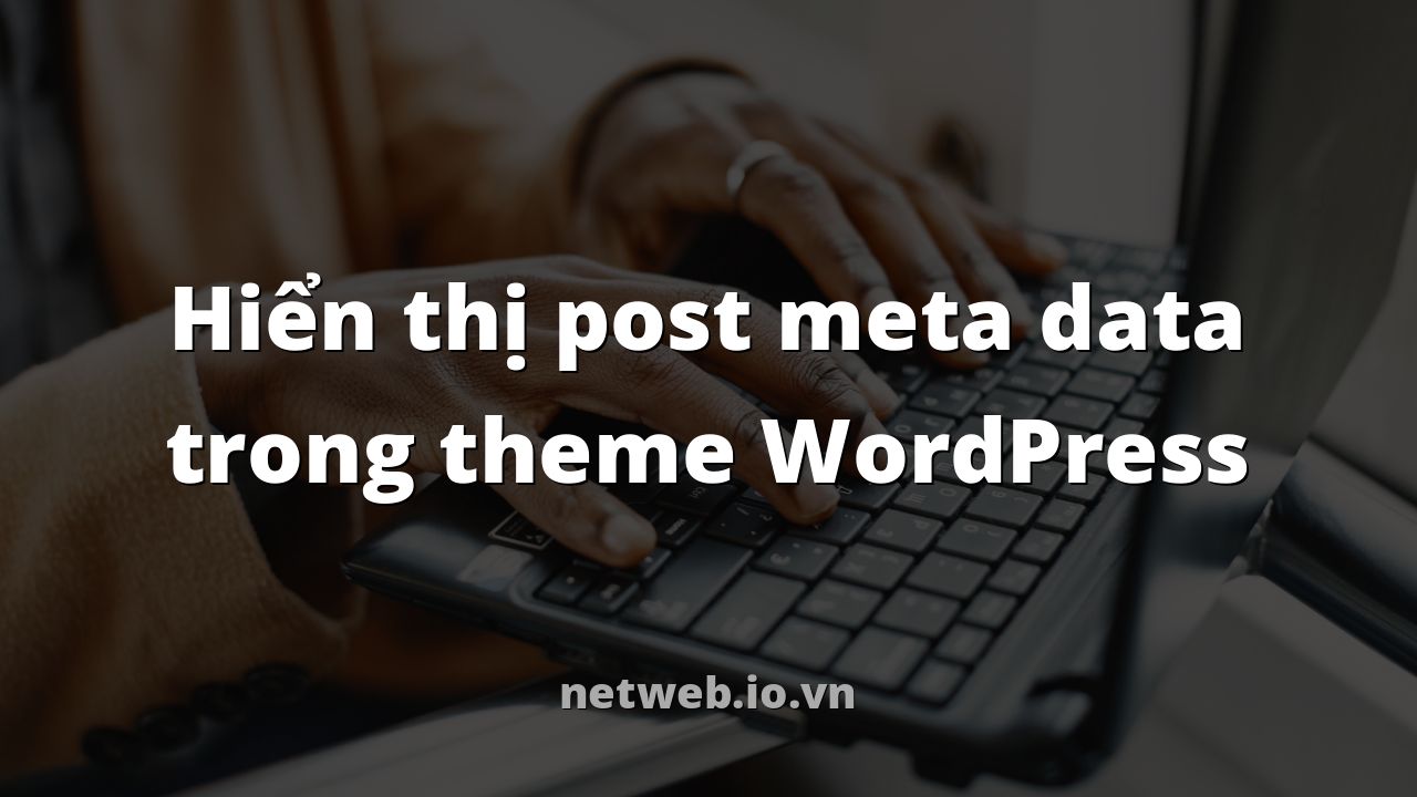 Hiển thị post meta data trong theme WordPress