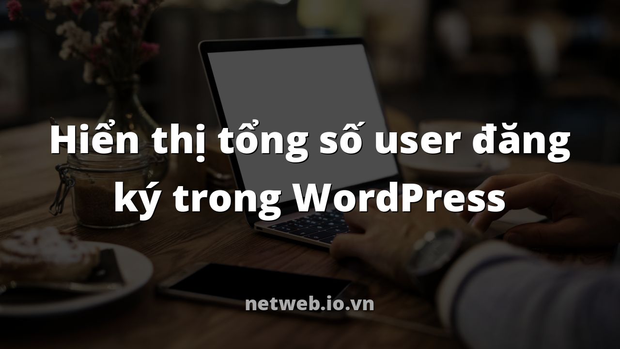Hiển thị tổng số user đăng ký trong WordPress