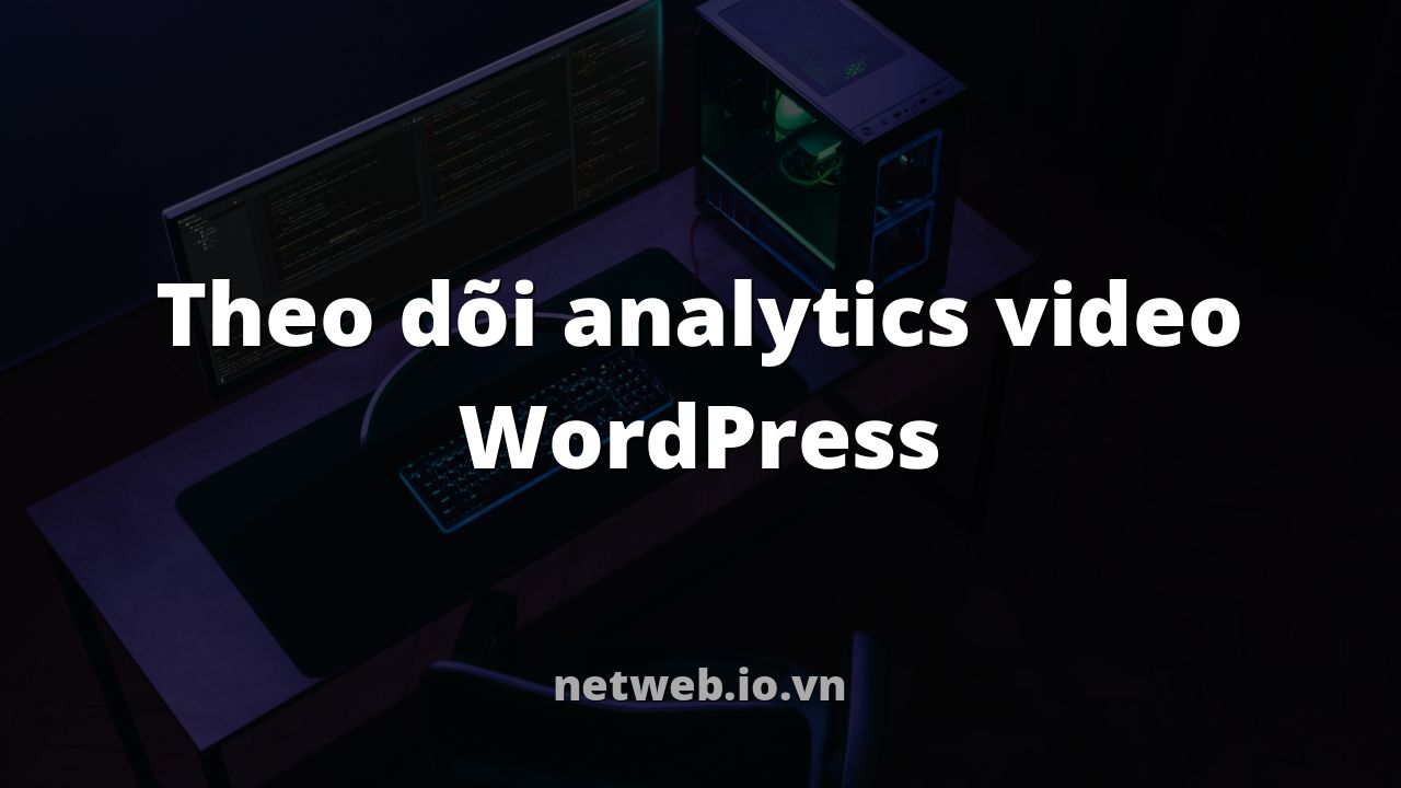 Theo dõi analytics video WordPress