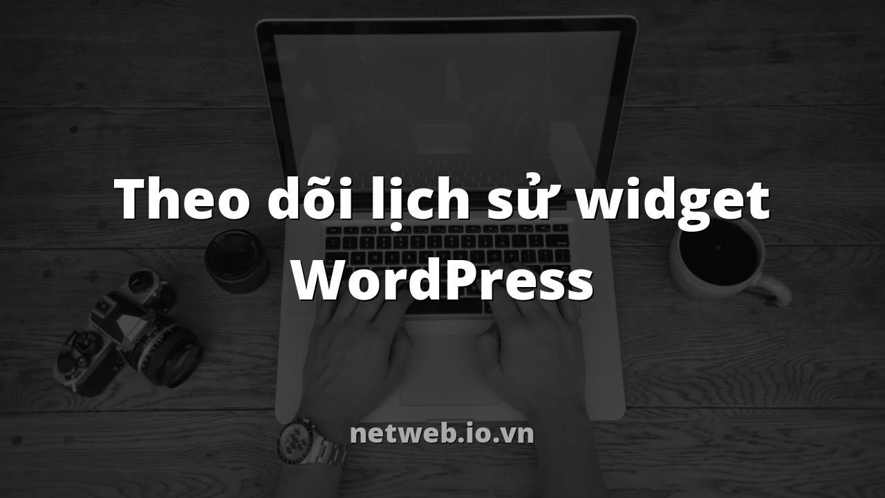 Theo dõi lịch sử widget WordPress