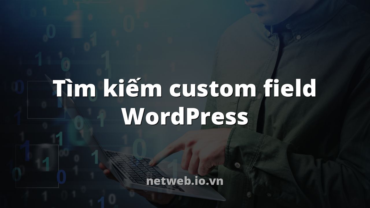 Tìm kiếm custom field WordPress