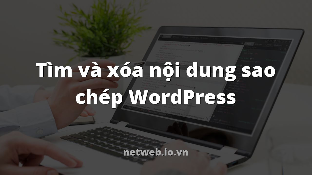 Tìm và xóa nội dung sao chép WordPress