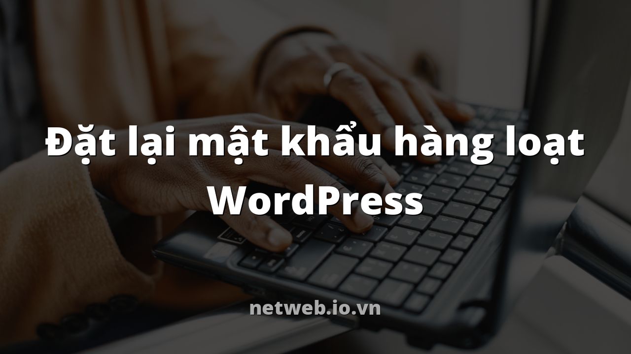 Đặt lại mật khẩu hàng loạt WordPress