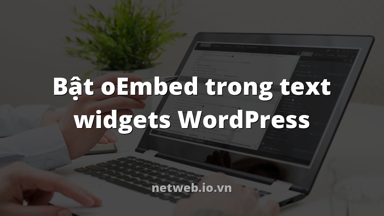 Bật oEmbed trong text widgets WordPress