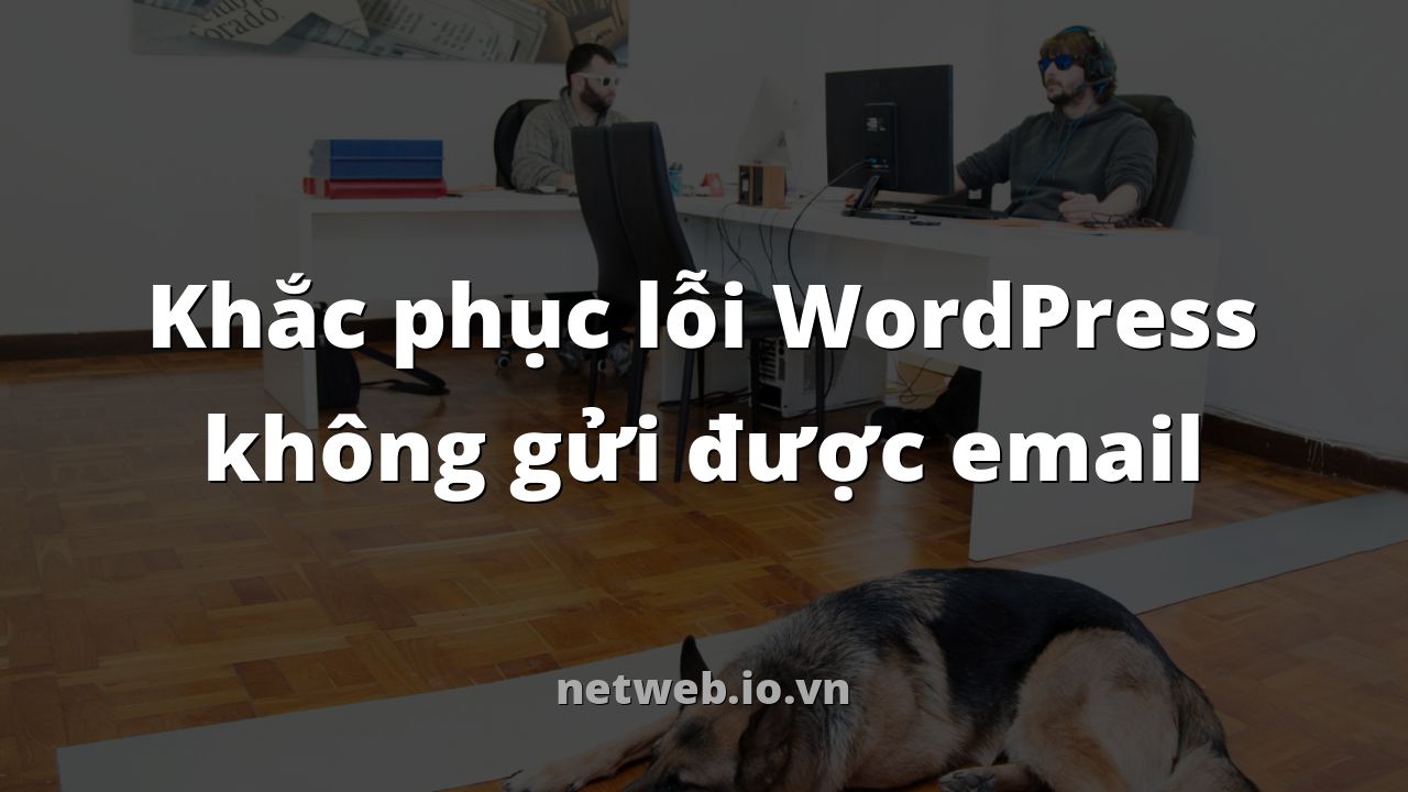Khắc phục lỗi WordPress không gửi được email