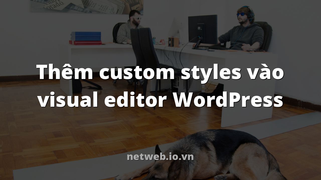 Thêm custom styles vào visual editor WordPress