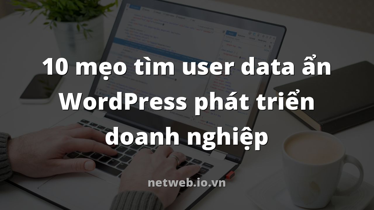 10 mẹo tìm user data ẩn WordPress phát triển doanh nghiệp