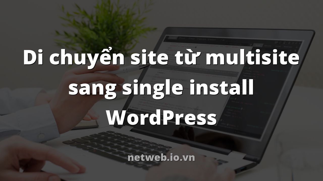 Di chuyển site từ multisite sang single install WordPress