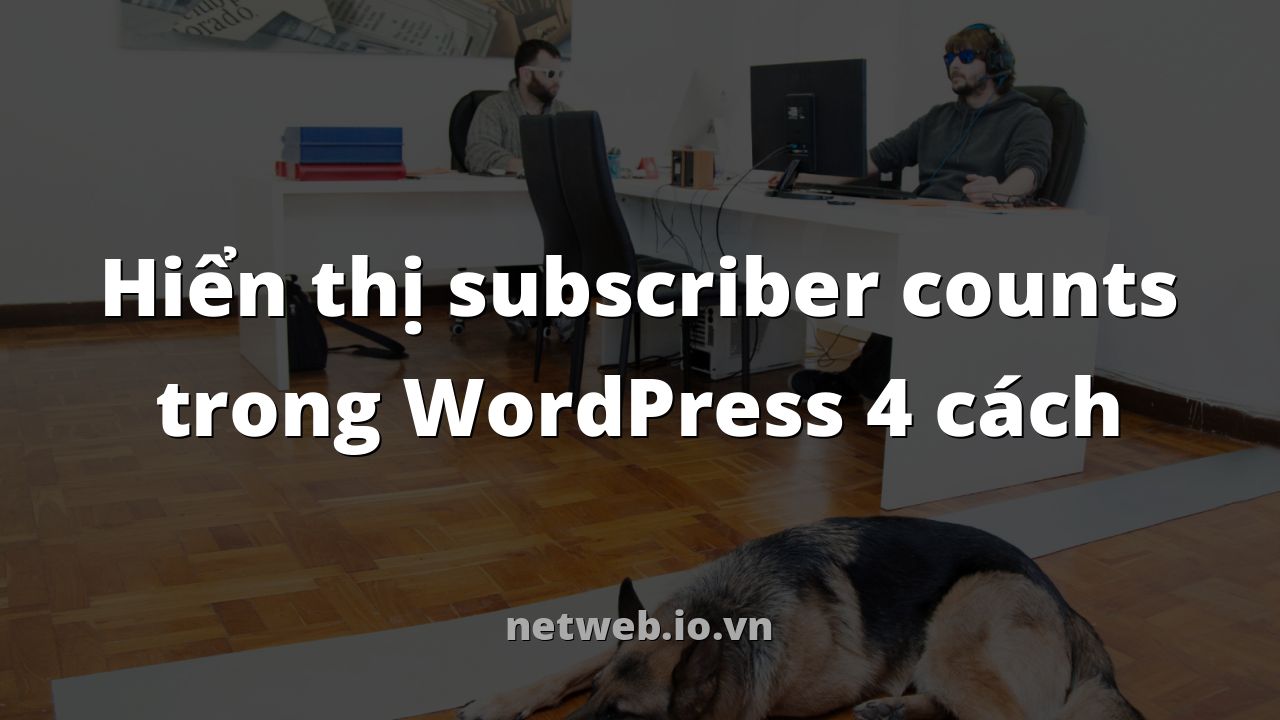 Hiển thị subscriber counts trong WordPress 4 cách