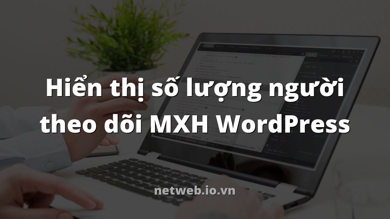 Hiển thị số lượng người theo dõi MXH WordPress