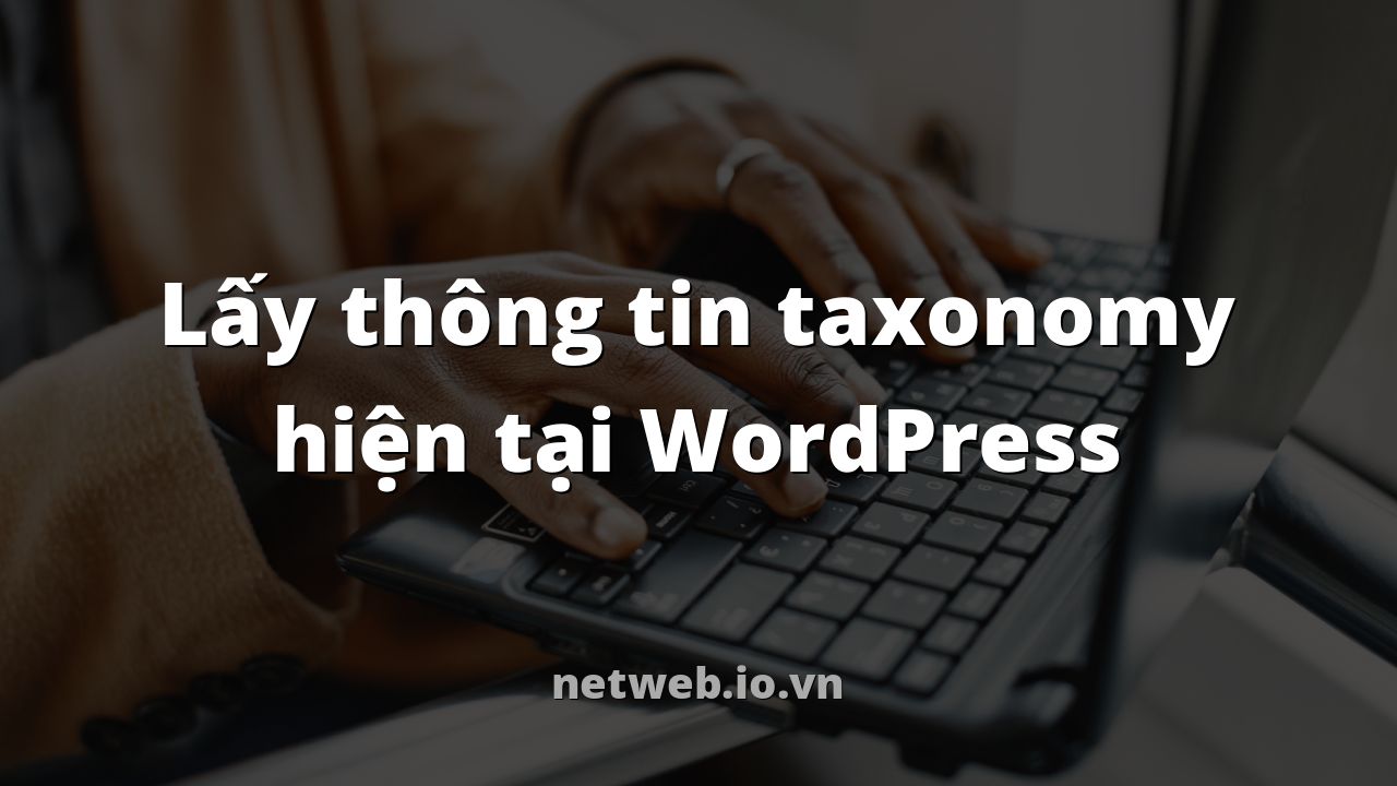 Lấy thông tin taxonomy hiện tại WordPress