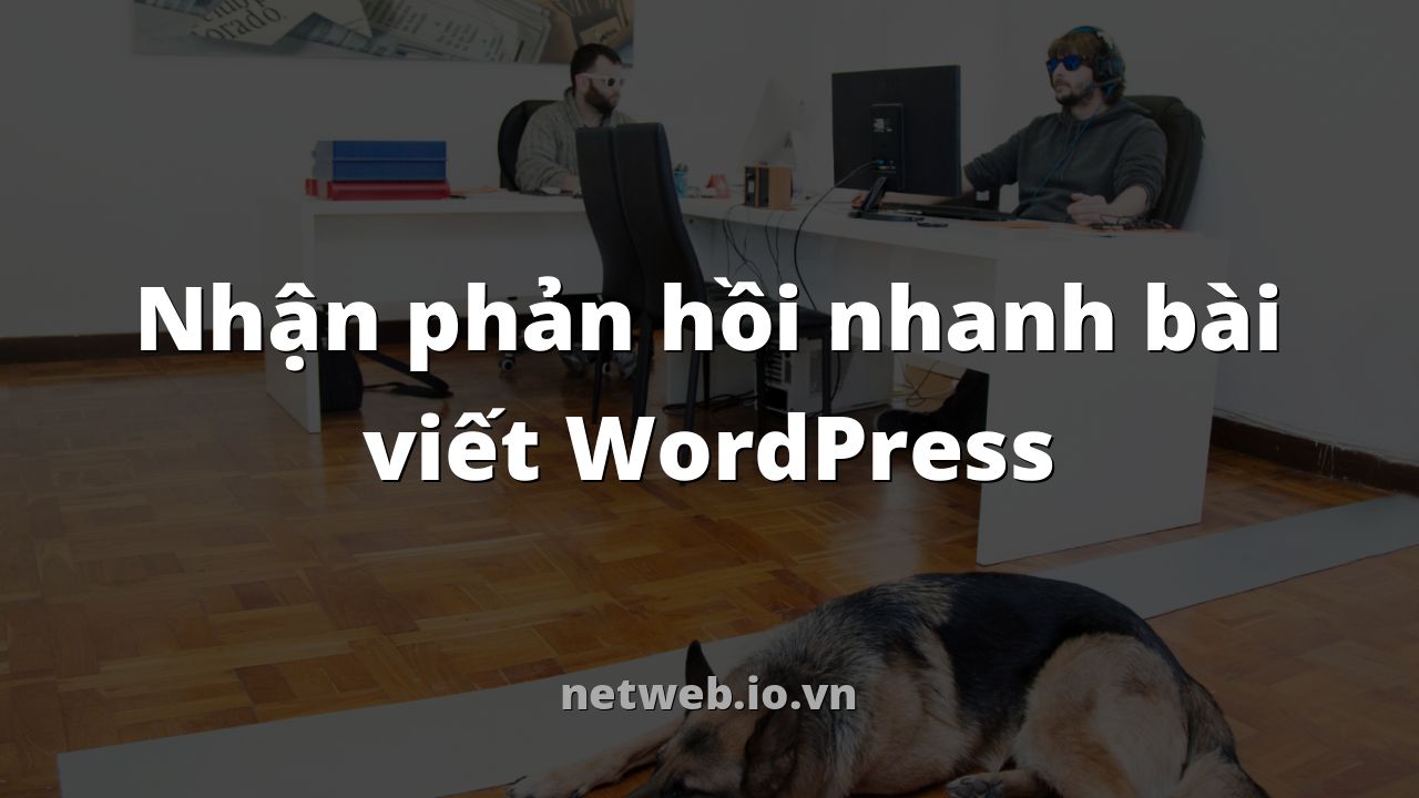 Nhận phản hồi nhanh bài viết WordPress
