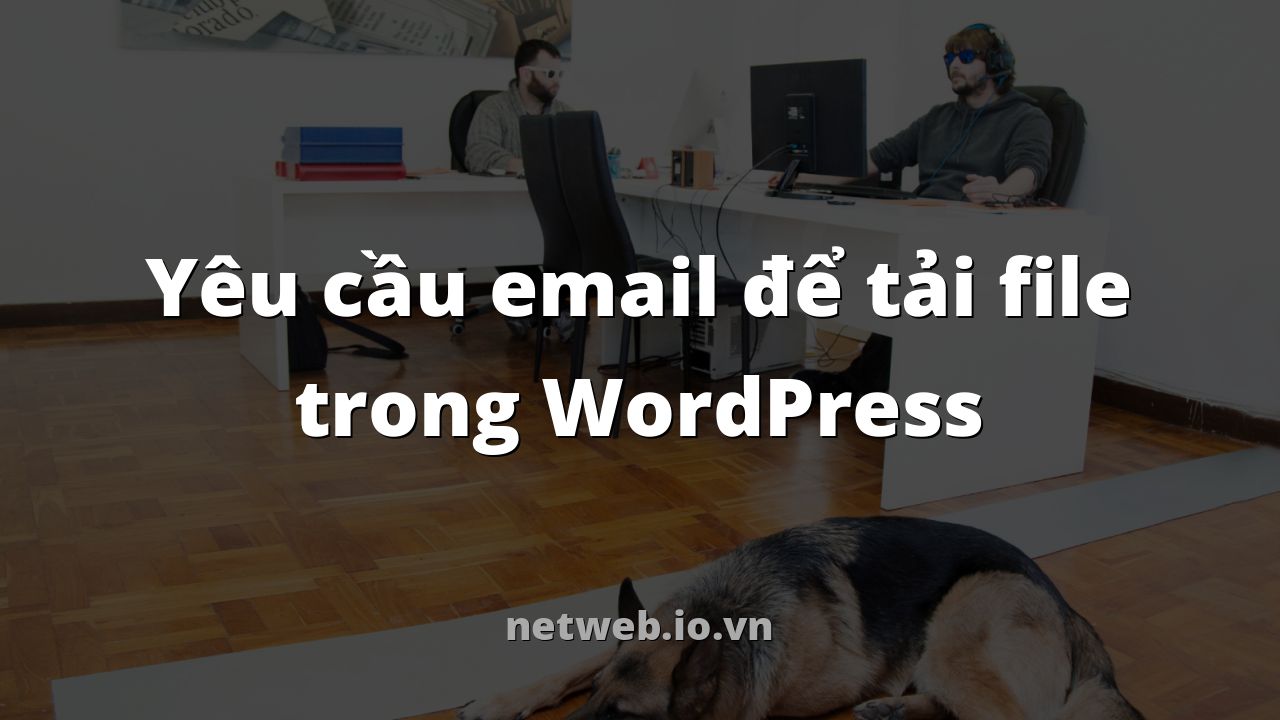 Yêu cầu email để tải file trong WordPress