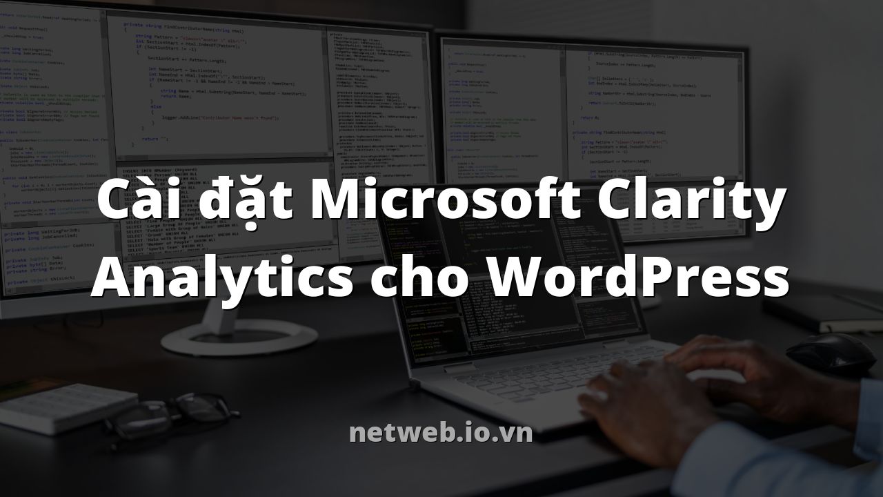 Cài đặt Microsoft Clarity Analytics cho WordPress