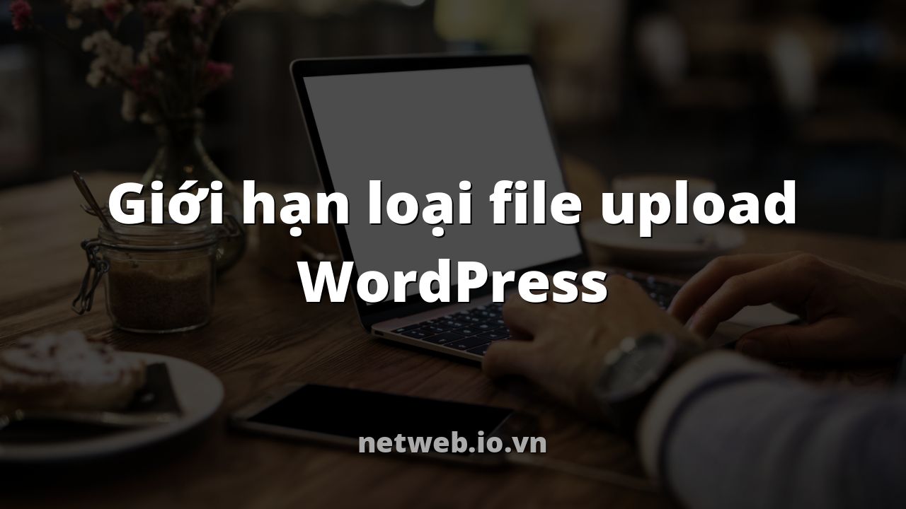 Giới hạn loại file upload WordPress
