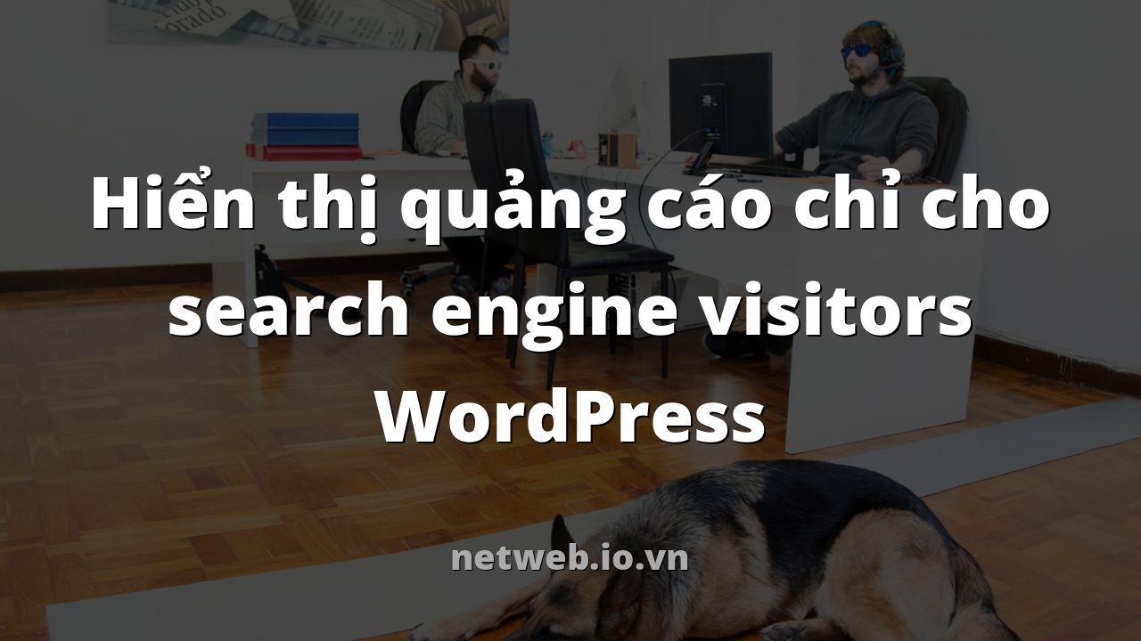 Hiển thị quảng cáo chỉ cho search engine visitors WordPress