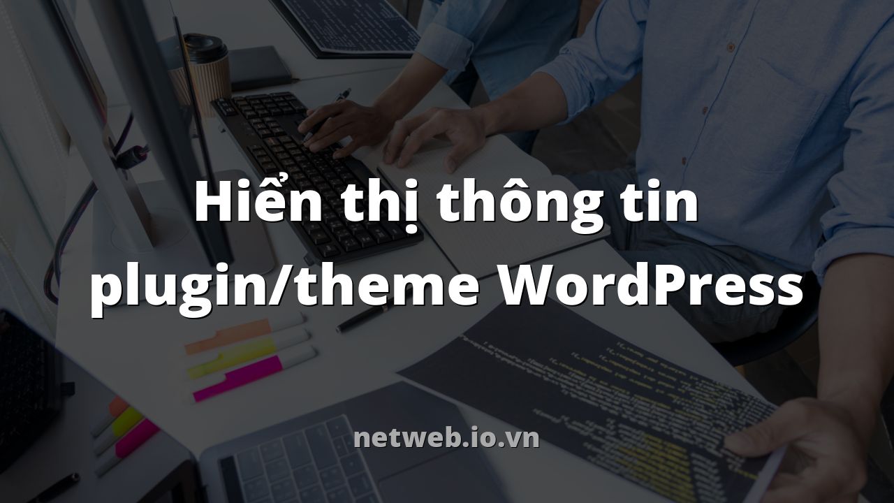 Hiển thị thông tin plugin/theme WordPress