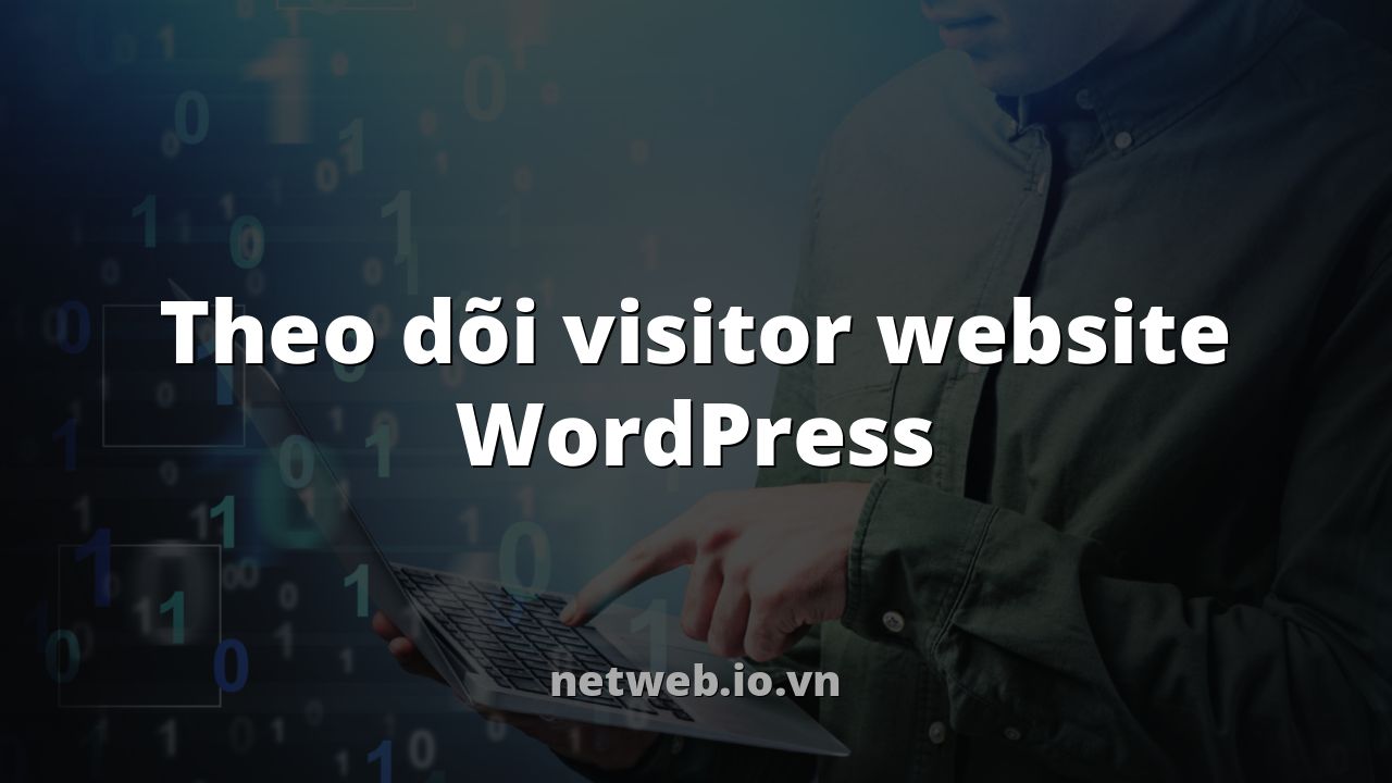 Theo dõi visitor website WordPress