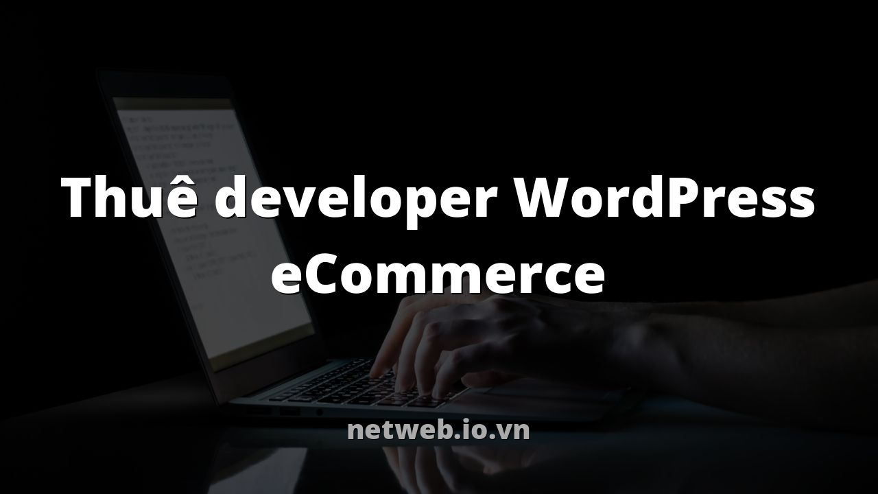 Thuê developer WordPress eCommerce