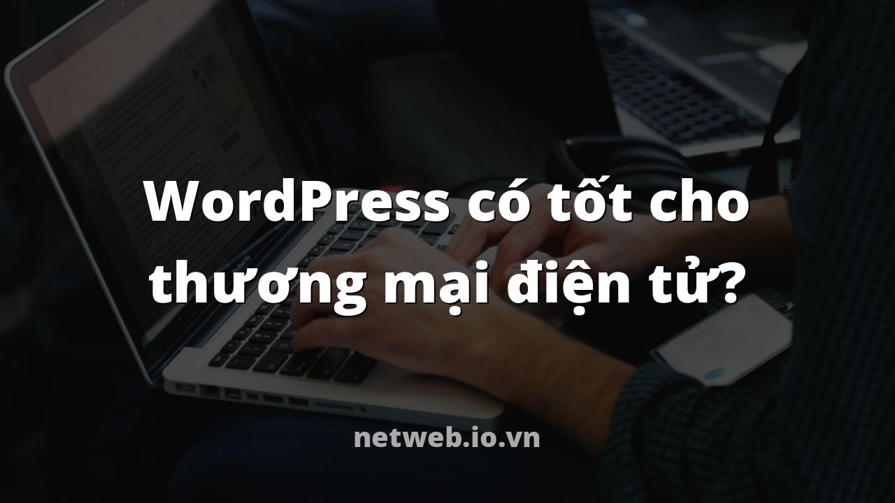 WordPress có tốt cho thương mại điện tử?